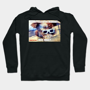 Wait Meme Hoodie